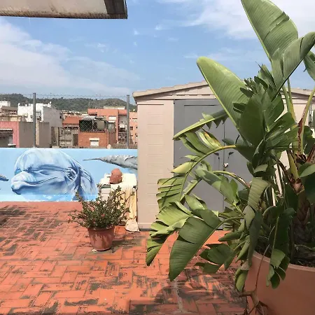 Antoni's Place *